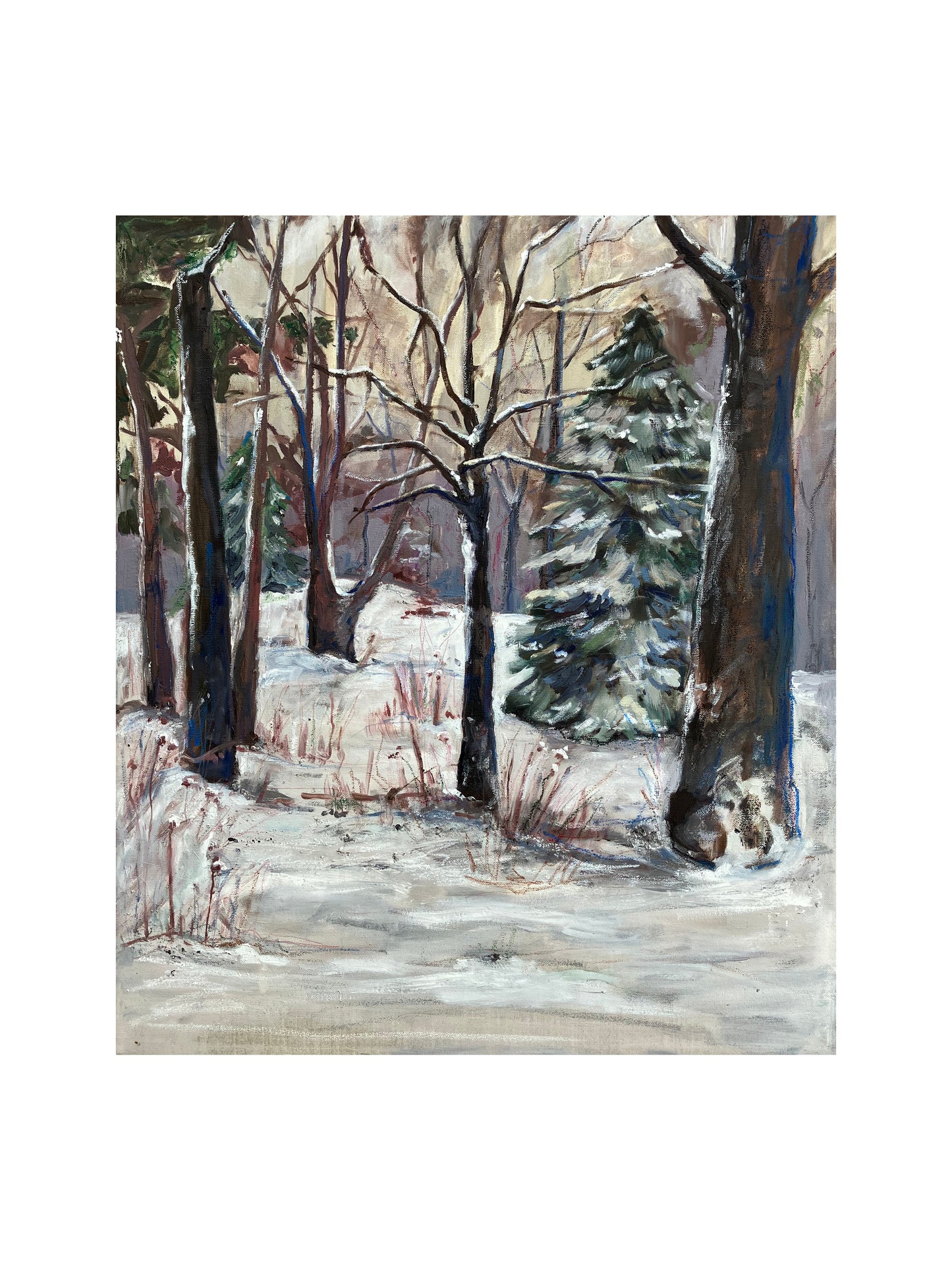 Bosque nevado